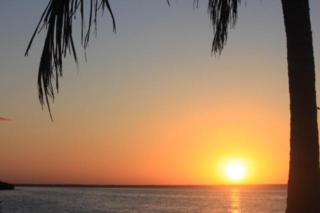 Ikarus Costa Mujeres Eco Lodge Sunset View Канкун Екстер'єр фото